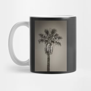 Palm Mug